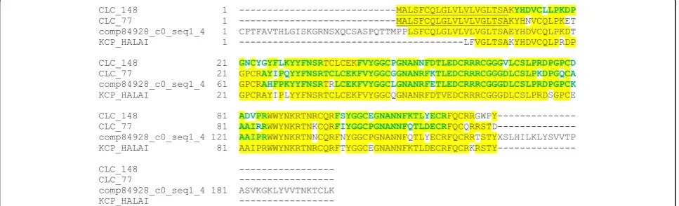 Fig. 5 Sequence alignment of KCP_HALAI to related major H. laevigata sequences. Predicted signal sequence peptides are underlined