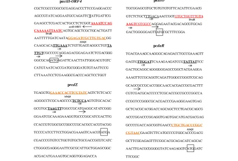 Figure 1 Location of the binding sequences for the S. coelicolor response regulators AfsQ1, DraR in the promoter regions of antibioticcluster-situated regulators: actII-ORF4, redZ, kasO, and cdaR [23,24]