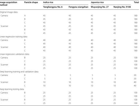 Table 2 Basic information of image dataset