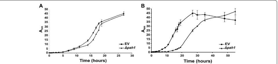 Figure 2 Evaluation of the Δpah1 growth phenotype. The growth phenotype of an empty vector strain and the Δpah1 strain was comparedon glucose and oleic acid as carbon sources