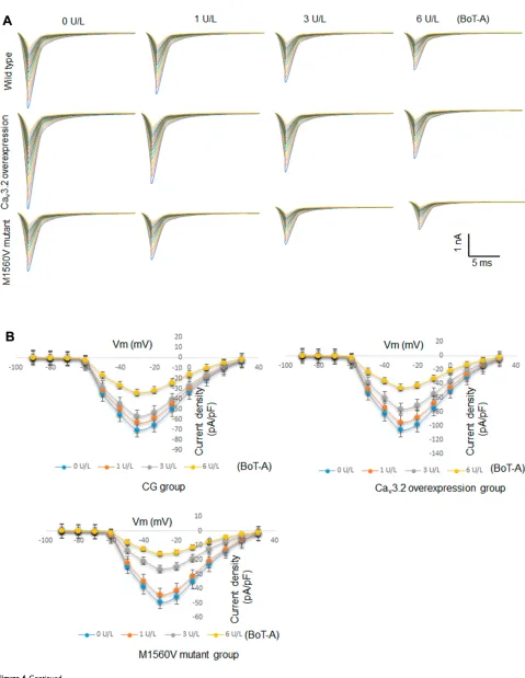 Figure 6 Continued.