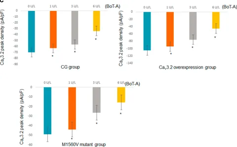 Figure 6 The effects of BoT-A Botox on the whole-cell currents of Cav3.2 channel measured in motoneurons by using the voltage clamp technique