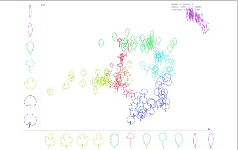 Fig. 4 Representation space of leaf shape given by PC1 and PC2 for second Clef selection dataset