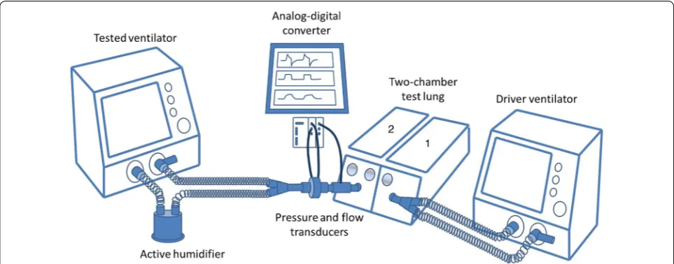 Fig. 1 Experimental setup. A chamber of a two‑chamber test lung was connected to a driving ventilator set in volume‑controlled ventilation mode