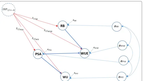 Table  3path coefficients:  presents the magnitude of estimated structural �13 , �14 , and �24 for PSA on WU, PSA on WUE, and RB on WUE, respectively