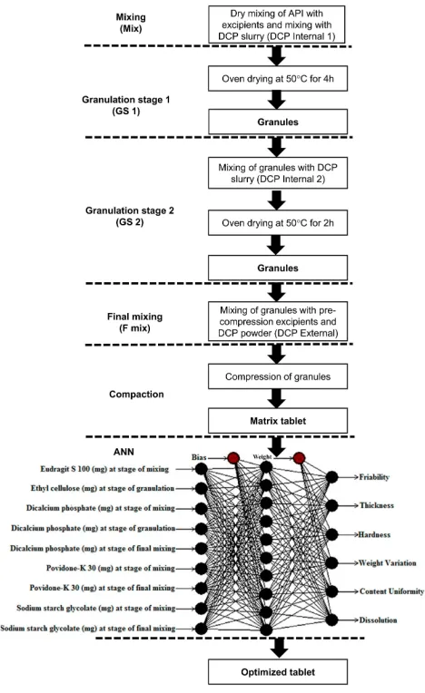 Figure 1 Scheme of study showing ﬁve stages of compression: Mix, GS-1, GS-2,F-mix and compression and structure of ANN applied using quick propagationmethod for data learning algorithm.