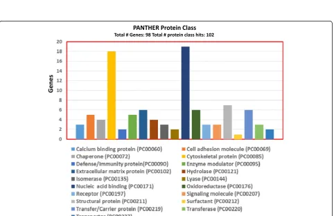 Fig. 1 Molecular function annotation of proteins, identified with two or more unique peptides, using Protein Analysis through EvolutionaryRelationships (PANTHER)