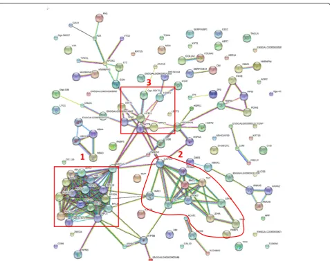 Fig. 3 The protein-protein interaction network of proteins identified with two or more unique peptides