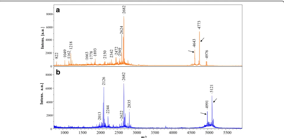 Fig. 5 Fragmentation of m/z 2682 showing a partial sequence ‘AGGSVPGRPLPNEAL’ corresponding to Eimeria Apicomplexan specific proteinmatching by >92% identity