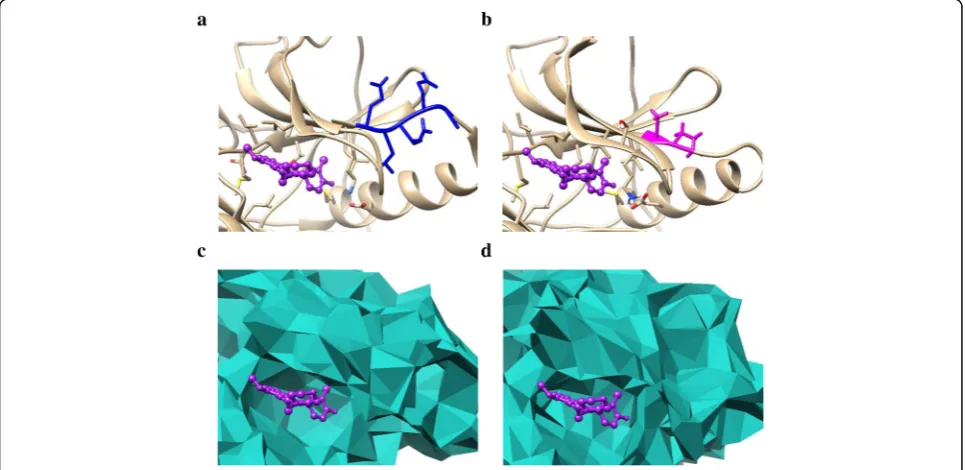 Fig. 1 a and b show the comparison of the crystal structures of WT EGFR and the mutant delE746_A750insAP
