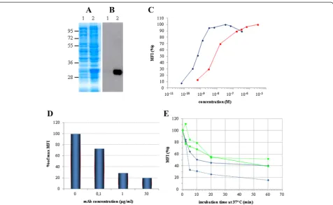 Figure 1 Expression & characterization of the 4KB scFv.scFv (continuous line) or 10Red lines indicate the MFI obtained by staining Daudi cells with the scFv (continuous line) and mAb (dashed line) previously incubated at37°C for the same time lengths as fo