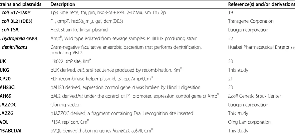 Table 3 Bacterial strains and plasmids used in this study