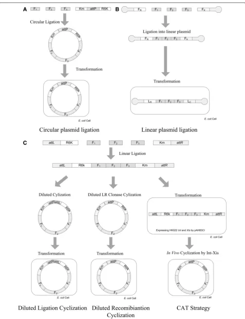 Figure 3 (See legend on next page.)