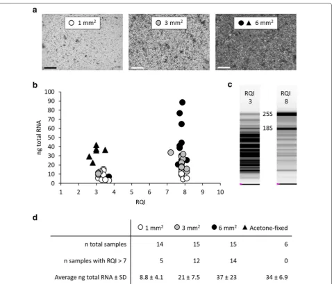 Fig. 2 Effects of tissue quantity harvested by LM on RNA yield and integrity. a Surfaces of representative collection tube caps after harvest of 1 mm2, 3 mm2 and 6 mm2 total surface areas of C