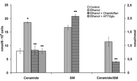Table 3: Effects of the chamiloflan on the ceramide content in the liver of the normal and CCl4-treated rats.