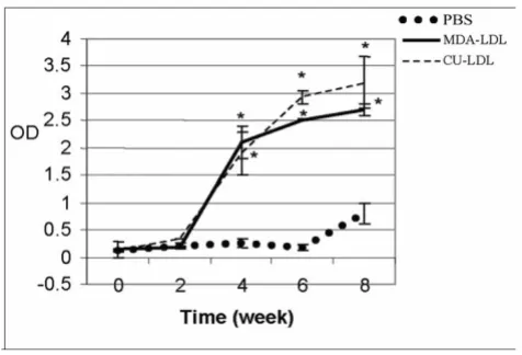 Table 1 summarized the effect of immunization againstMDA-LDL and Cu-LDL on the rabbits fed normal diet orhigh cholesterol diet on biochemical factors.