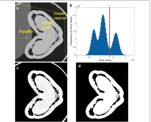 Fig. 2 Workflow of wheat grain segmentation on MATLAB. a A μCT cross‑sectional slice in 16‑bit greyscale