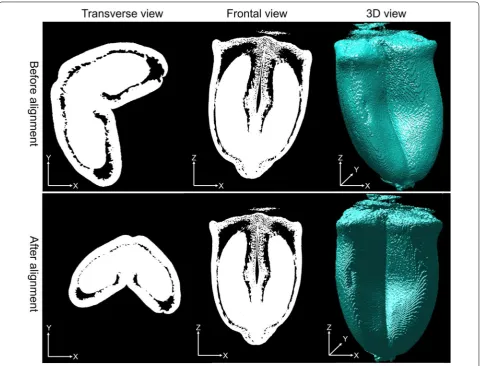 Fig. 4 Different views of a 120‑°DAA sample before and after alignment