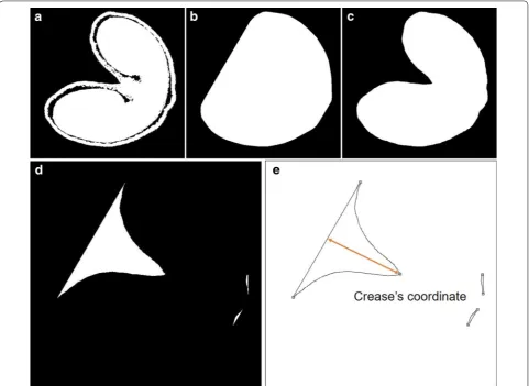 Fig. 6 Workflow of crease detection on a μCT slice. a An input binary μCT slice, b convex hull of the input slice