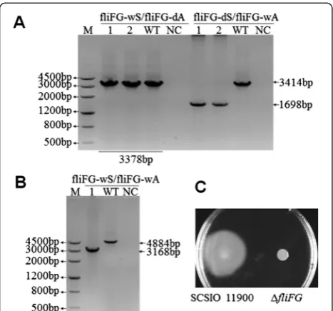 Table S2). The 1.5 kb PCR product was digested with