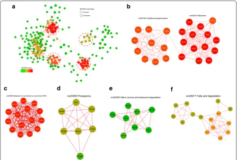 Fig. 4 The protein-protein interaction network analysis. a the whole interaction network; b-f, the extracted significantly enriched function models.With the threshold change fold > 1.5, all the 178 differentially changed succinylated proteins (The proteins
