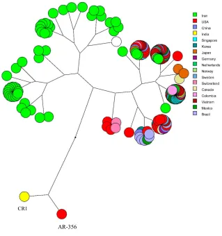 Figure 5 The multidimensional layout of global analysis of azurin gene in different isolates of P