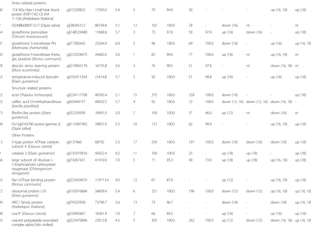 Table 1 Unique proteins expressed differentially in HY versus LY palms at 12–18 WAP, or exhibiting temporal expression differences in HY palms (Continued)