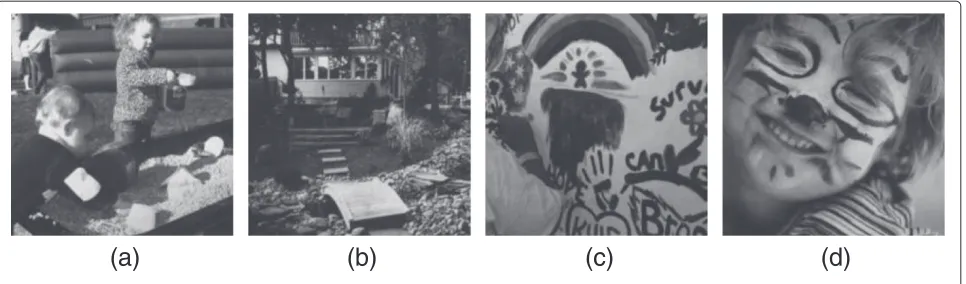 Figure 4 Four diﬀerent original images from [27]: (a) Image 1. (b) Image 2. (c) Image 3