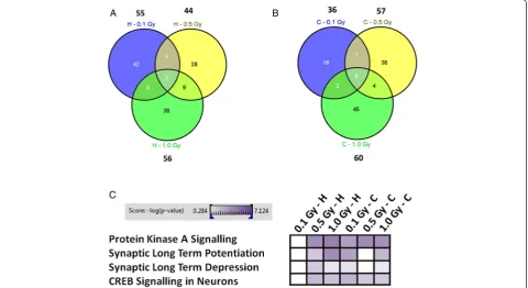 Fig. 1 Mass spectrometry-based proteomics of hippocampus and cortex of in utero irradiated animals