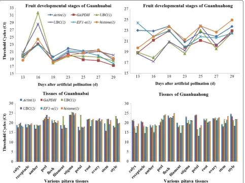 Fig. 1 Ct values of six candidate reference genes in different fruit developmental stages and tissues of pitayas