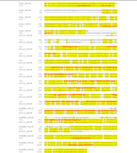 Fig. 2 Analysis of accession 713 amino acid sequence. The sequence of quail accession no