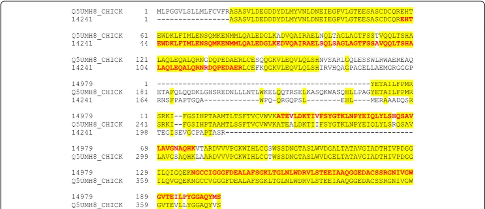 Fig. 3 Alignment of pentraxin fragments. Quail entries 14241 and 14979 matched to different sequence regions of pentraxin (Q5UMH8_CHICK)strongly indicating that both were fragments of the same protein