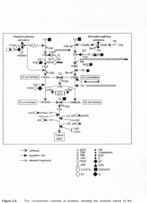 Figure 2.4: 