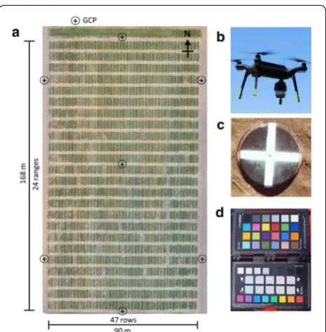 Fig. 1 Safflower field experiment. field experiment had a similar layout, a 2017 field experiment design and layout with ground control point (GCP) distribution; the 2018 b 3DR Solo UAV with a Sony QX1 digital RGB camera attached, c GCP, and d colour target
