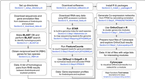 Fig. 1 A workflow of comparative transcriptome analysis between soybean and Arabidopsis