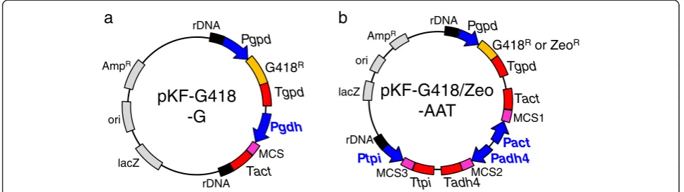 Figure 2 Vectors for overexpression of single or multiple target genes. aoverexpression of multiple genes