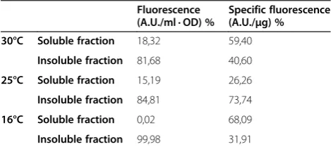 Figure 5 Specific fluorescence of soluble (white bars) and insoluble (grey bars) rVP1GFP produced in L