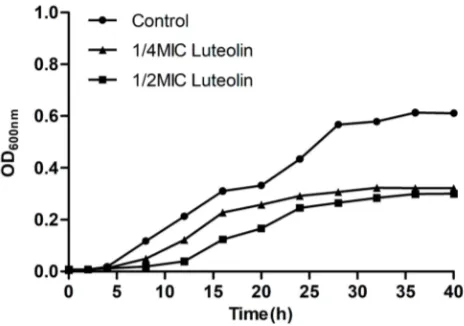 Figure 1 Effect of luteolin on the growth curve of T. pyogenes. Data are presentedas mean (± SD) of three replicates.