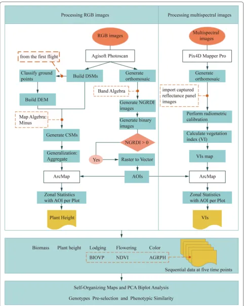 Fig. 2 Flowchart illustrating data-acquisition and analysis methodology