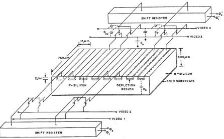 Figure 2.1: Schematic representation of the structure of the Reticon RLxxxxF/30 series photo-diode array