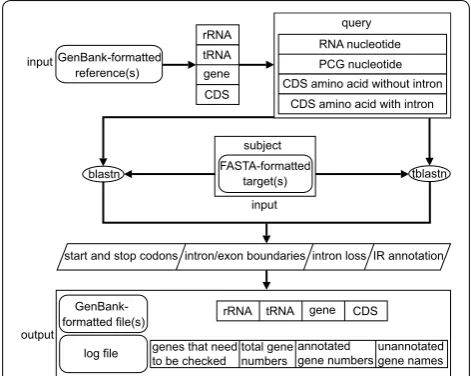 Fig. 1 PGA annotation flowchart. See text for detailed information on each step