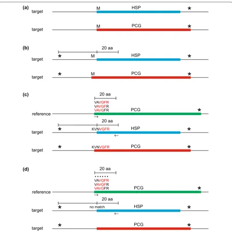 Fig. 2 A description of the Gene Boundary Detection Algorithm (GBDA), which determines start and stop codons for Protein‑Coding Genes (PCGs)