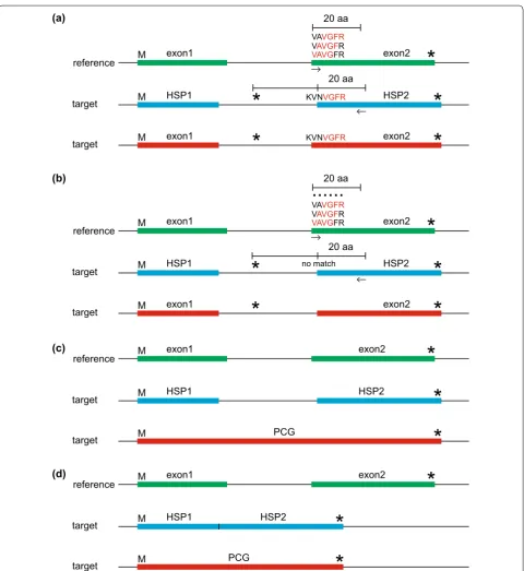 Fig. 3 A description of the Intron Boundary Detection Algorithm (IBDA), which locates intron boundaries and detects intron loss for Protein‑Coding Genes (PCGs)