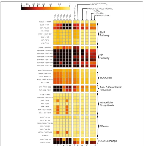 Figure 8 Normalized flux precision functions for all fluxes are presented in the form of color-scored squared diagrams for the differenttracers used for simulations