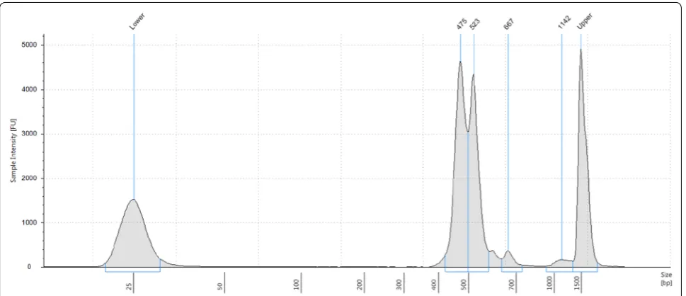 Fig. 5 Example of a final library as analyzed on a Tape Station. The library fragments are between 400 and 600 bp long