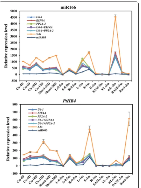 Fig. 4 Relative expression of miR166 and PtHB4 using validated reference genes for normalization under plant regeneration process
