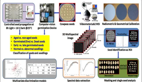 Fig. 1 All key steps involved in processing multispectral images for extracting spectral information of the seeds, preparing germination data and building the multivariate discrimination models