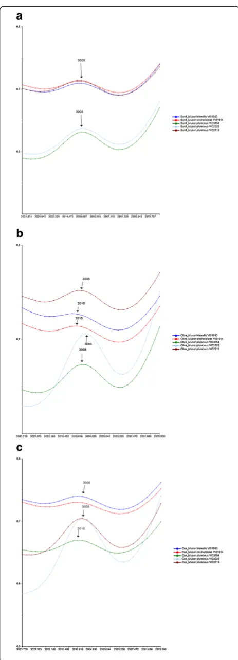 Figure 5 Comparison of lipid content and composition forMucor cultivated in different oils