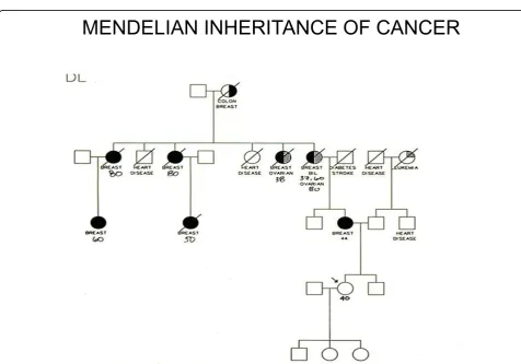 Figure 2 Pedigree of a family with a high rate of breast cancer and ovarian cancer: the increased tendency to developing cancer shows aMendelian autosomal dominant pattern of inheritance, suggesting that a single gene is largely responsible.