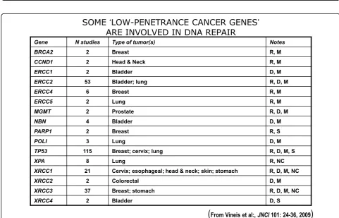 Figure 6 A genetic polymorphism in the coding sequence of the TGF-b receptor gene influences the risk of cancer.